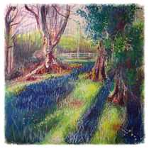 12 x 12 Gouache on Paper