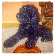 12 x 12 Acrylic on Paper