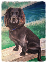 8 x 12 Acrylic on Paper