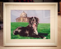 12 x 16 Acrylic on Paper