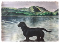 12 x 16 Gouache on Paper