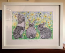 8 x 12 graphite, watercolour and Acrylic on Paper 